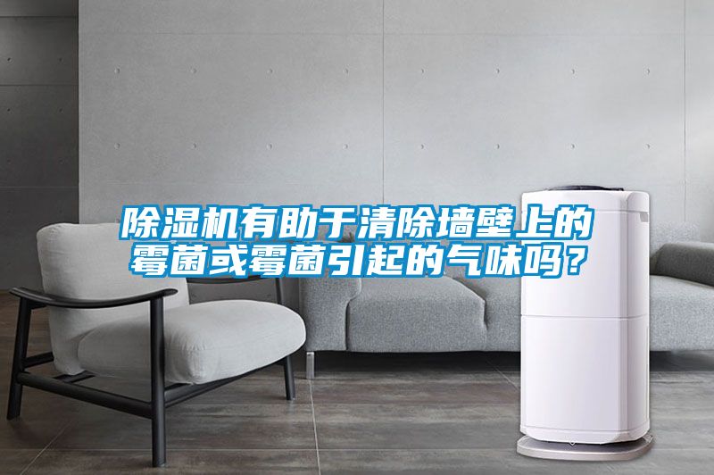 除濕機(jī)有助于清除墻壁上的霉菌或霉菌引起的氣味嗎？