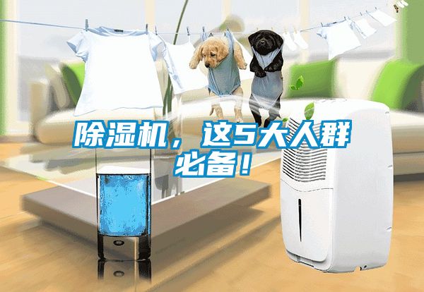 除濕機(jī)，這5大人群必備！
