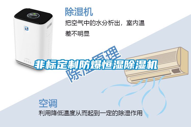 非標(biāo)定制防爆恒濕除濕機