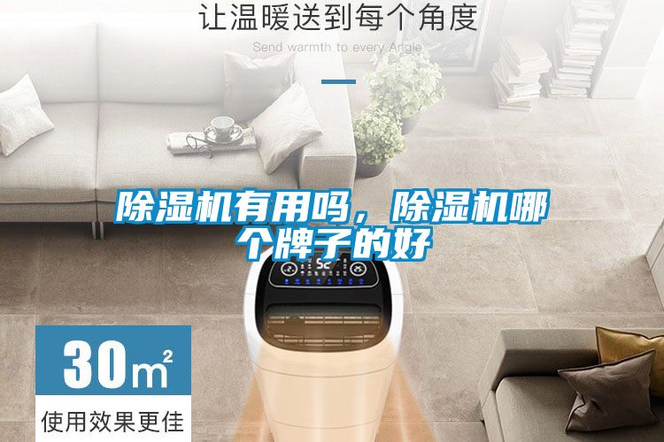 除濕機(jī)有用嗎，除濕機(jī)哪個(gè)牌子的好