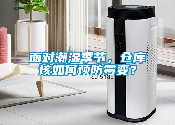 面對潮濕季節(jié)，倉庫該如何預(yù)防霉變？