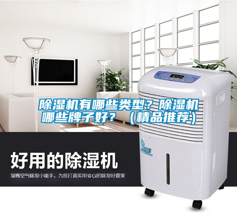 除濕機(jī)有哪些類型？除濕機(jī)哪些牌子好？（精品推薦）