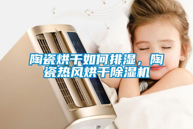陶瓷烘干如何排濕，陶瓷熱風(fēng)烘干除濕機