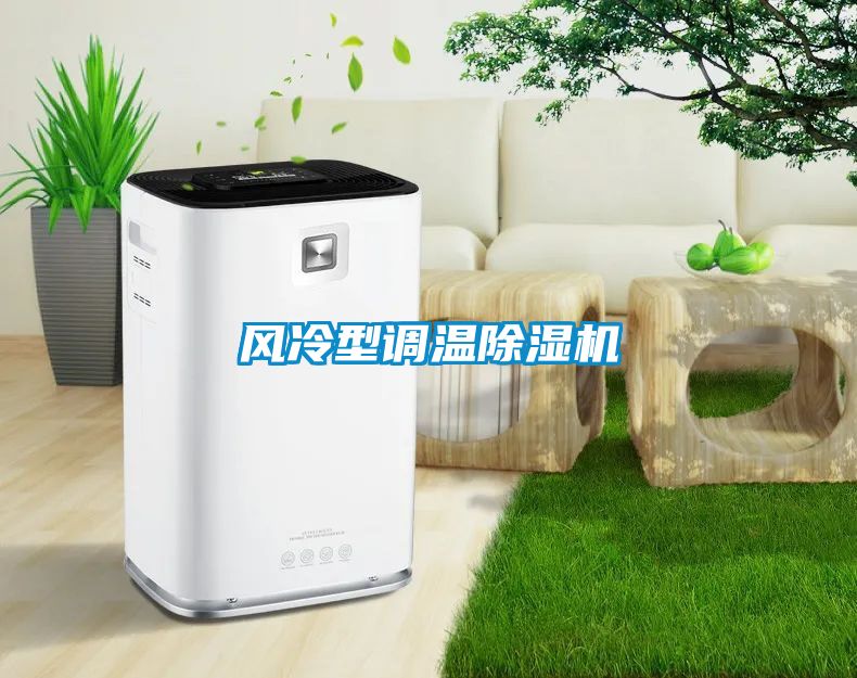 風冷型調(diào)溫除濕機