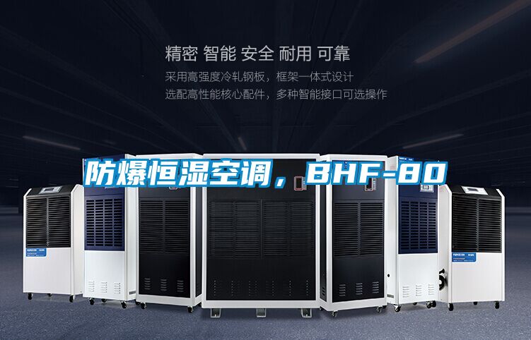 防爆恒濕空調(diào)，BHF-80