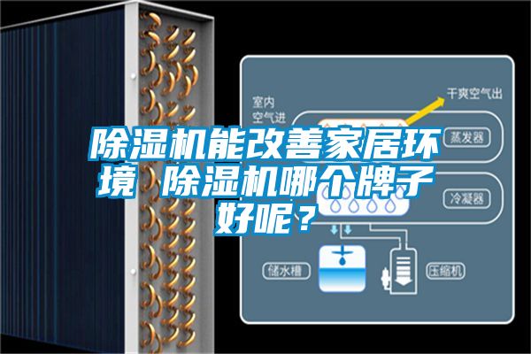 除濕機(jī)能改善家居環(huán)境 除濕機(jī)哪個(gè)牌子好呢？