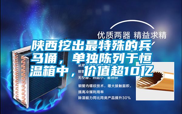 陜西挖出最特殊的兵馬俑，單獨陳列于恒溫箱中，價值超10億