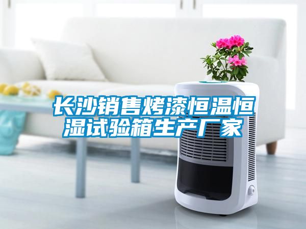 長(zhǎng)沙銷售烤漆恒溫恒濕試驗(yàn)箱生產(chǎn)廠家