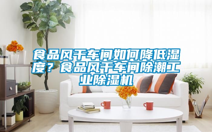 食品風(fēng)干車間如何降低濕度？食品風(fēng)干車間除潮工業(yè)除濕機(jī)