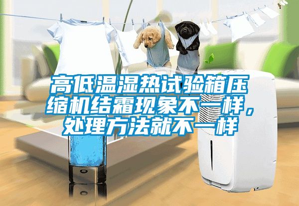 高低溫濕熱試驗箱壓縮機(jī)結(jié)霜現(xiàn)象不一樣，處理方法就不一樣