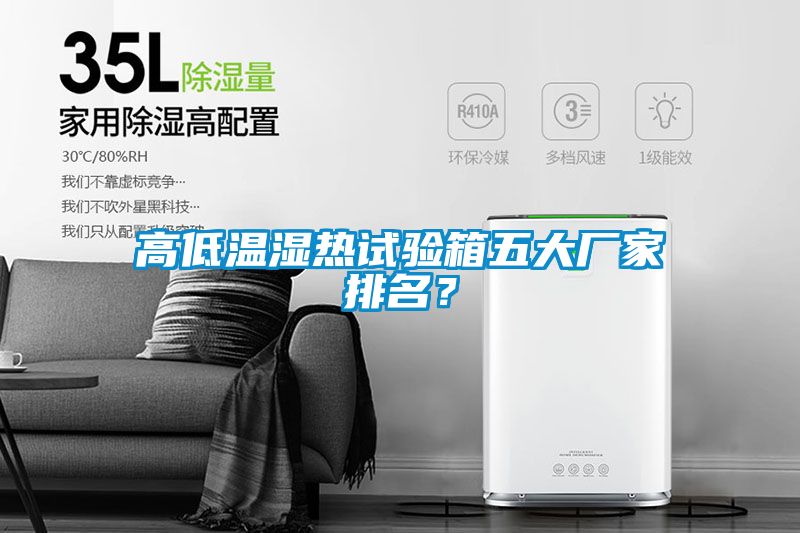 高低溫濕熱試驗箱五大廠家排名？