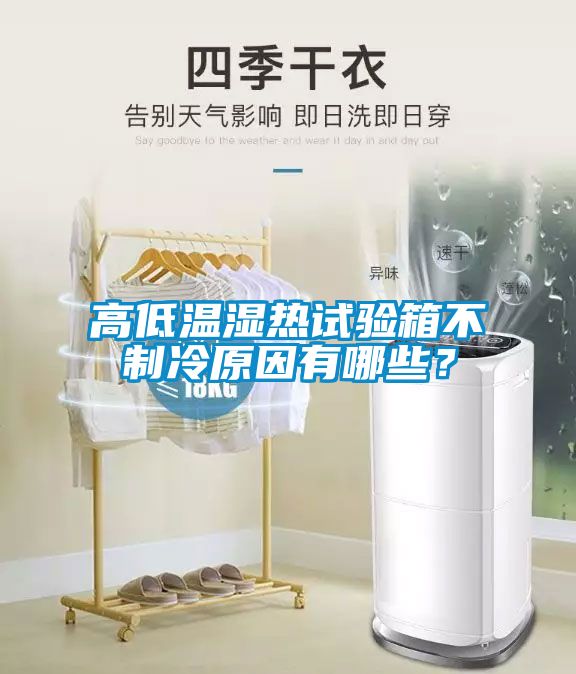 高低溫濕熱試驗箱不制冷原因有哪些？