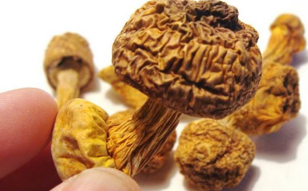 巴西菇、姬松茸烘干機(jī)-怎樣烘干色澤好且菇體褶片完整？